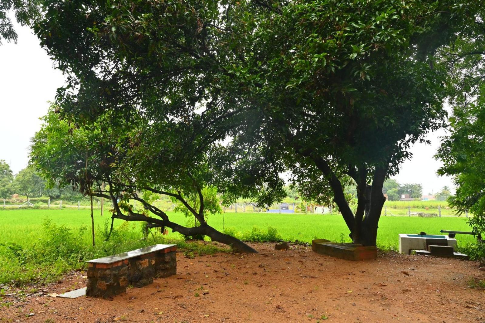 Pathayam Inn Tiruvannamalai Bagian luar foto