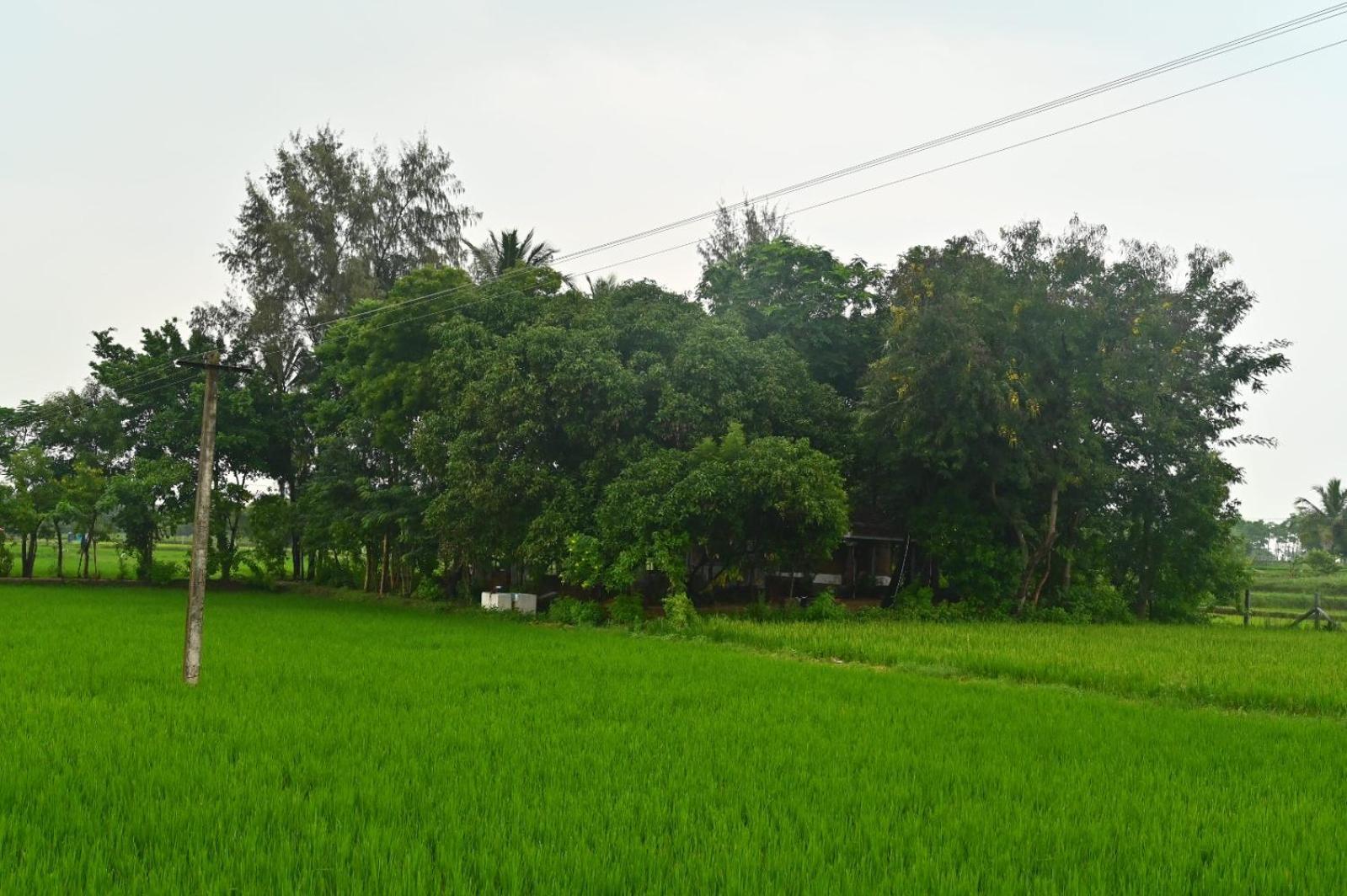 Pathayam Inn Tiruvannamalai Bagian luar foto